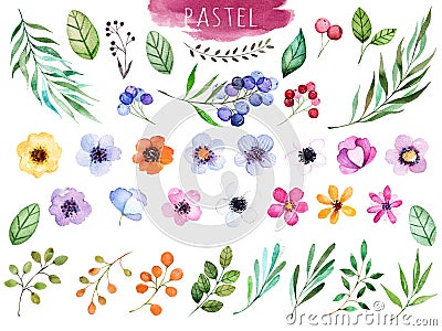 Colorful floral collection with multicolored flowers Stock Photo