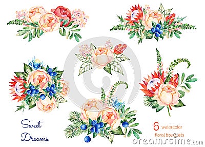 Colorful floral collection with roses,flowers,leaves,protea,blue berries,spruce branch,eryngium. Stock Photo