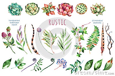 Colorful floral collection with 27 watercolor elements. Stock Photo