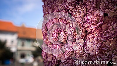 Colorful Flower Arrangement with green pink and purple Stock Photo