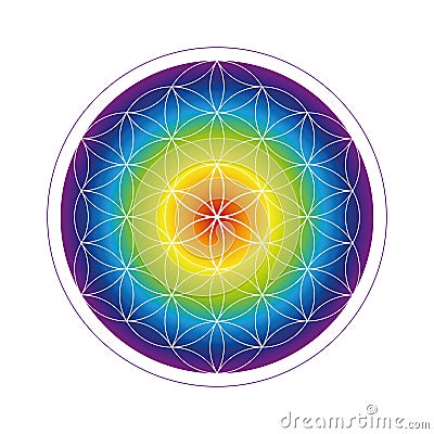Colorful flower of life geometry in rainbow colors Vector Illustration