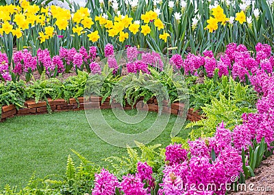 Colorful flower in the park. Spring landscape. Stock Photo