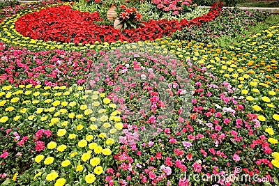 Colorful flowerbed Stock Photo