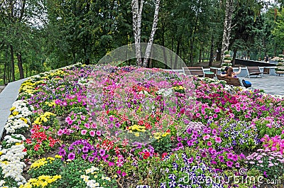 Colorful flowerbed Stock Photo