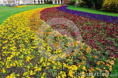 Colorful Flowerbed Stock Photo