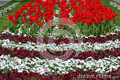 Colorful flowerbeds Stock Photo