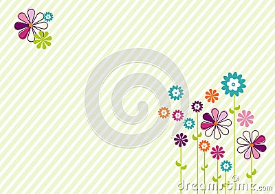Colorful flowers Stock Photo