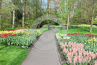 Colorful flowers and blossom in dutch spring garden Keukenhof (Lisse, Netherlands) Stock Photo