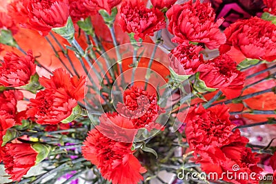 Colorful flowers, flower market Stock Photo