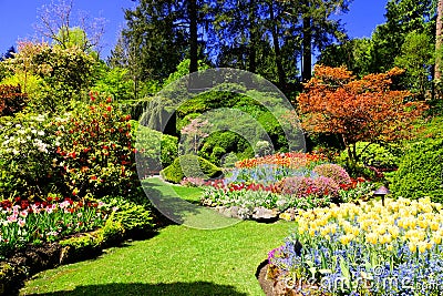 Colorful flowers of a garden at springtime, Victoria, Canada Stock Photo