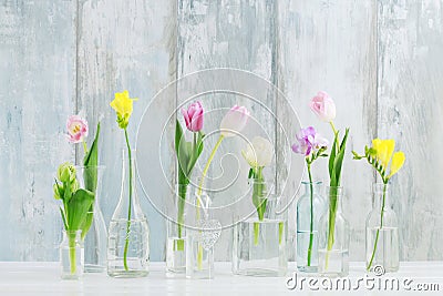 Colorful flowers in glass bottles. Greetings background Stock Photo