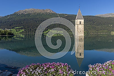 Colorful flowers with the old bell tower of Curon Venosta in the background, perfectly reflected in the still water of Lake Resia Stock Photo
