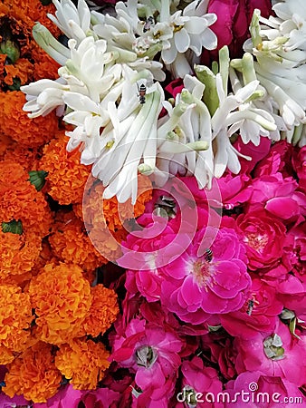 Colorful flowers roses, meri gold, white petals Stock Photo