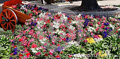 Colorful flowers, vintage cart. Backyard panorama Stock Photo