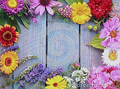 Colorful frame of fresh summer flowers Stock Photo