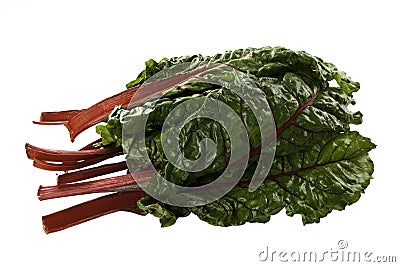 Colorful Fresh Swiss Chard Stock Photo