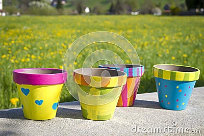 Colorful garden pots next to flowering field Stock Photo