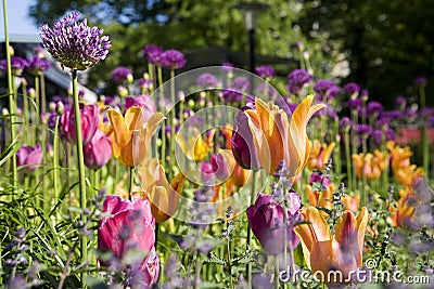 Colorful garden, Stockholm. Stock Photo