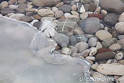 Colorful gravel stones at the icy lake shore, white feather Stock Photo