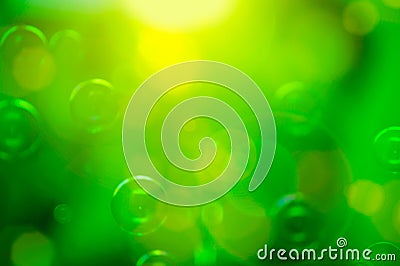 Colorful green abstract background Stock Photo