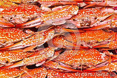 Colorful grilled crabs and Thai style sauce Stock Photo