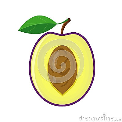 Colorful half plum with pip and green leaf. Vector illustration Vector Illustration