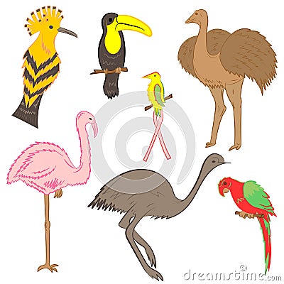 Colorful Hand Drawn Exotic Tropical Birds. Doodle Drawings of Parrot, Ostrich, Emu, Hummingbird, Hoopoe and Toucan. Flat Style Vector Illustration