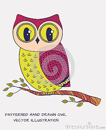 Colorful hand drawn owl. Vector illustration. Vector Illustration