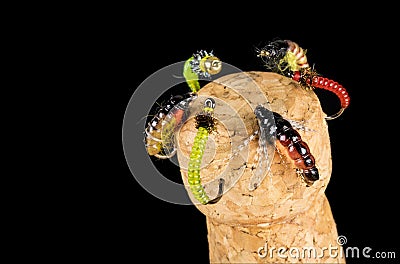 Colorful Hand Tied Fishing Flies Displayed on Champagne Cork 8 Stock Photo