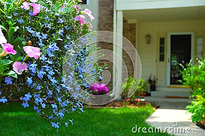 Colorful hanging basket flowers Stock Photo