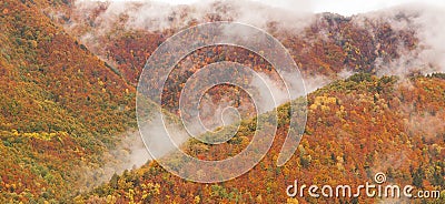 Colorful hillside in the fog. Stock Photo