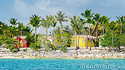 Colorful houses on Catalina beach, dominican republic with palm trees Stock Photo