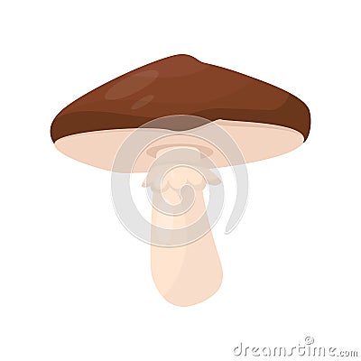 Flat vector icon of suillus luteus. Mushroom with brown cap and beige stalk. Cooking ingredient. Forest fungus Vector Illustration