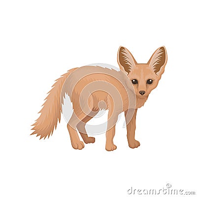 Detailed flat vector icon of cute fennec. Small pale fox with large pointed ears and fluffy tail. Wild animal of Vector Illustration