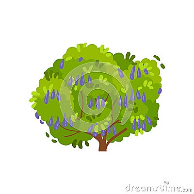 Flat vector icon of honeysuckle bush. Large shrub with ripe edible berries and green foliage. Garden plant Vector Illustration