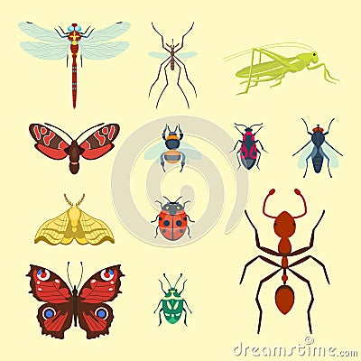 Colorful insects icons isolated wildlife wing detail summer bugs wild vector illustration Vector Illustration