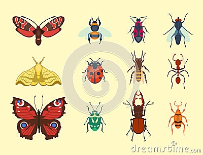 Colorful insects icons isolated wildlife wing detail summer bugs wild vector illustration Vector Illustration