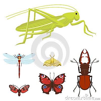 Colorful insects icons isolated wildlife wing detail summer bugs wild vector illustration Vector Illustration