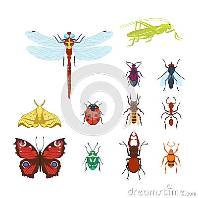 Colorful insects icons isolated wildlife wing detail summer bugs wild vector illustration Vector Illustration