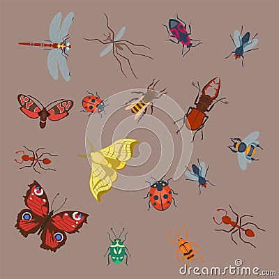 Colorful insects icons isolated wildlife wing detail summer bugs wild vector illustration Vector Illustration