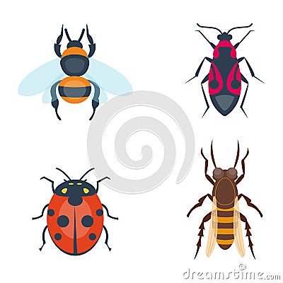 Colorful insects icons isolated wildlife wing detail summer bugs wild vector illustration Vector Illustration