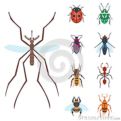 Colorful insects icons isolated wildlife wing detail summer bugs wild vector illustration Vector Illustration