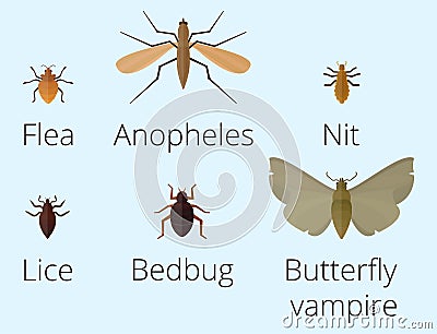 Colorful insects icons isolated wildlife wing detail summer worm caterpillar bugs wild vector illustration. Vector Illustration