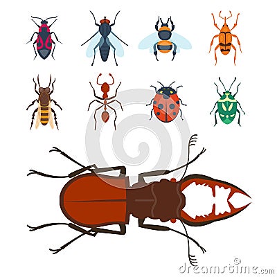 Colorful insects icons wildlife wing detail summer bugs wild vector illustration Vector Illustration