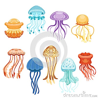 Colorful jellyfish set, swimming marine creatures watercolor vector Illustrations Vector Illustration