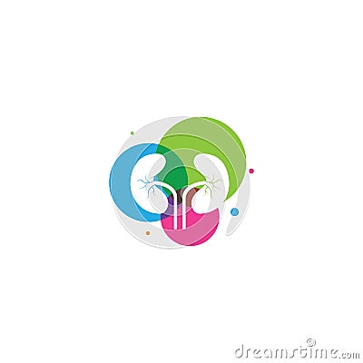 Colorful Kidney Logo Design Concept Vector Illustration