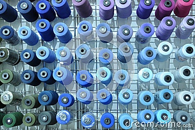 Colorful knitted thread spools put on a shelf at a shop Editorial Stock Photo