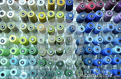 Colorful knitted thread spools put on a shelf at a shop Editorial Stock Photo