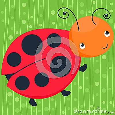 Colorful ladybug on the green background. Happy animal. Vector illustration, cartoon baby. Vector Illustration