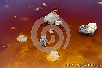 Colorful lake shore Stock Photo